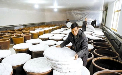 釀造食醋奔富路，食品銷售創輝煌——傳統技藝與現代市場的完美融合